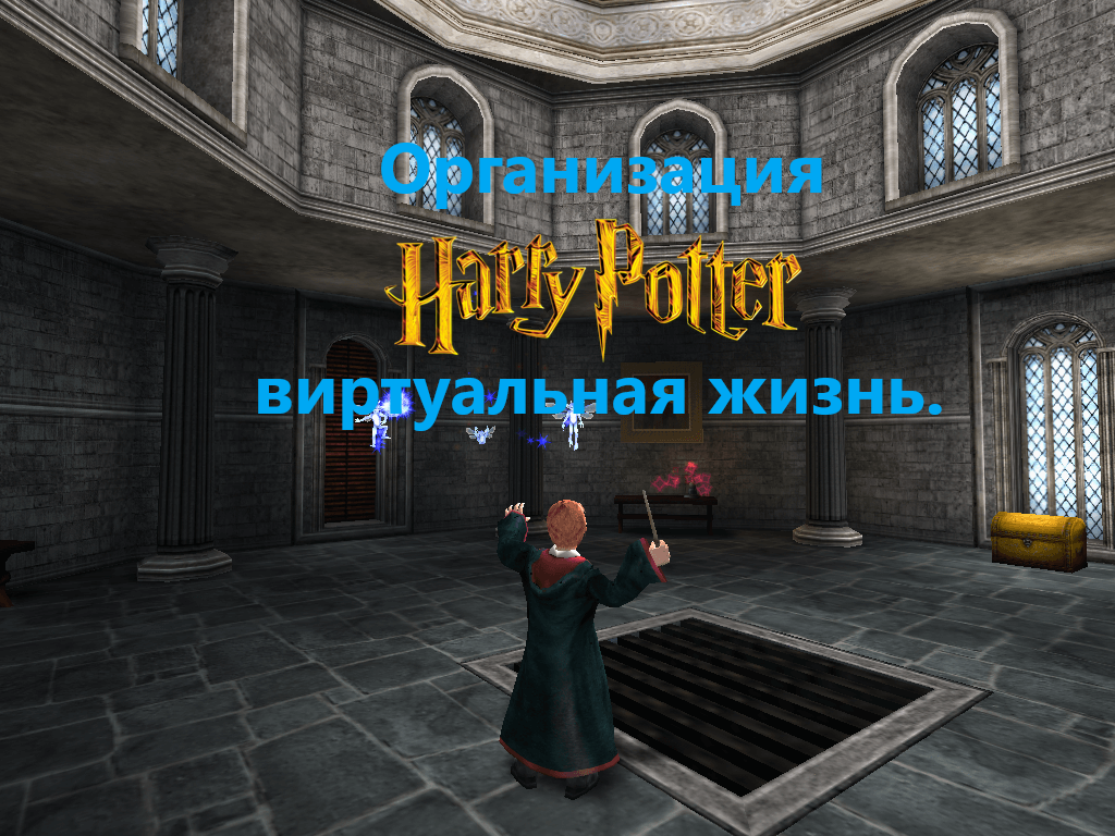 Организация Harry Potter виртуальная жизнь.