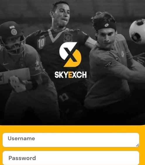 Sky Exchangee